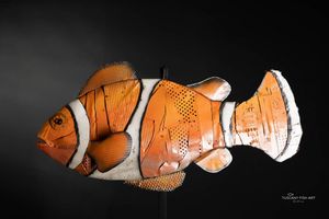 Clown Fish