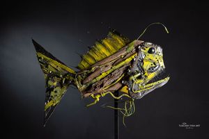 Deep Sea Fish