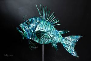 Pesce Scorpione 2
