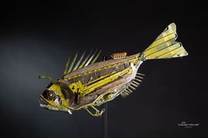 Roosterfish