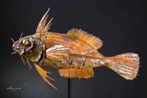 Sea Raven
